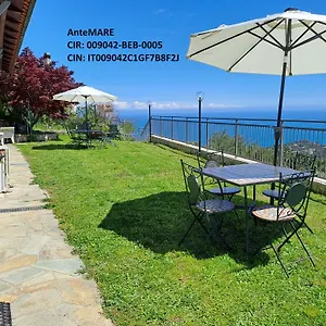 Antemare Couette-café Noli